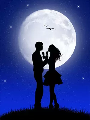 太子是我的狗免费阅读