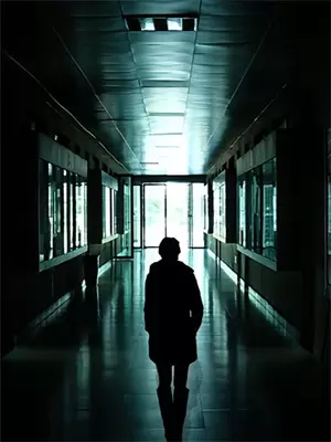 当皇上了情绪价值