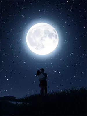 公司的秘密关系田