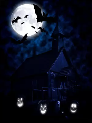 斗罗霍雨浩觉醒重瞳武魂