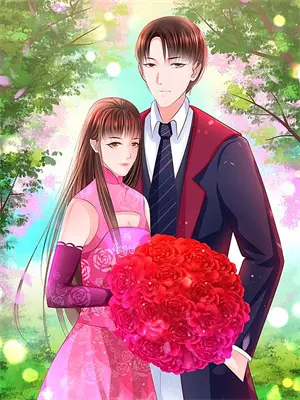 倒插门赘婿小说