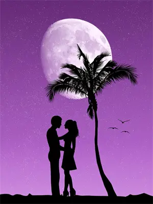 首辅夜夜低哄：恶女她以下犯上萧沉砚沈清梧完结小说免费阅读_完本热门小说首辅夜夜低哄：恶女她以下犯上萧沉砚沈清梧
